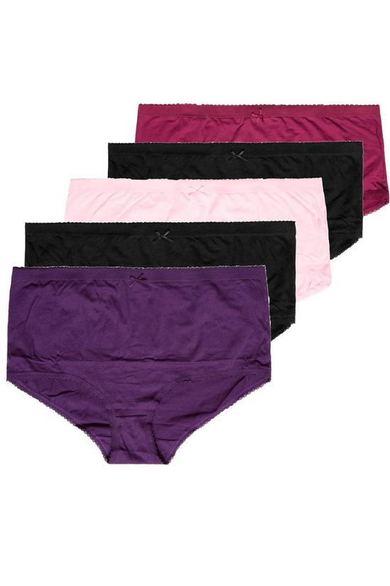 Yours 5 Pack Assorted Briefs 2