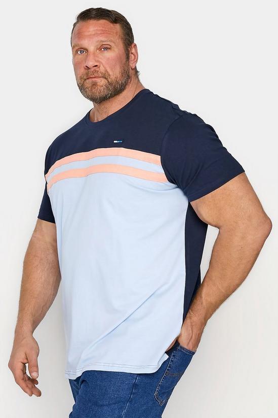 BadRhino Cut & Sew Stripe T-Shirt 1