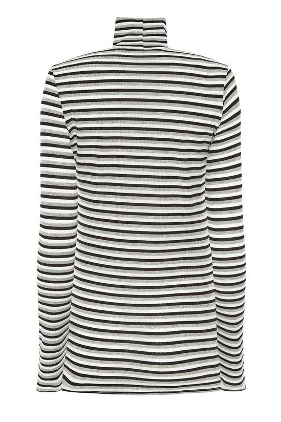 Long Tall Sally Tall Ribbed Roll Neck Top 3