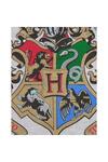 Harry Potter Hogwarts Raglan Top thumbnail 4