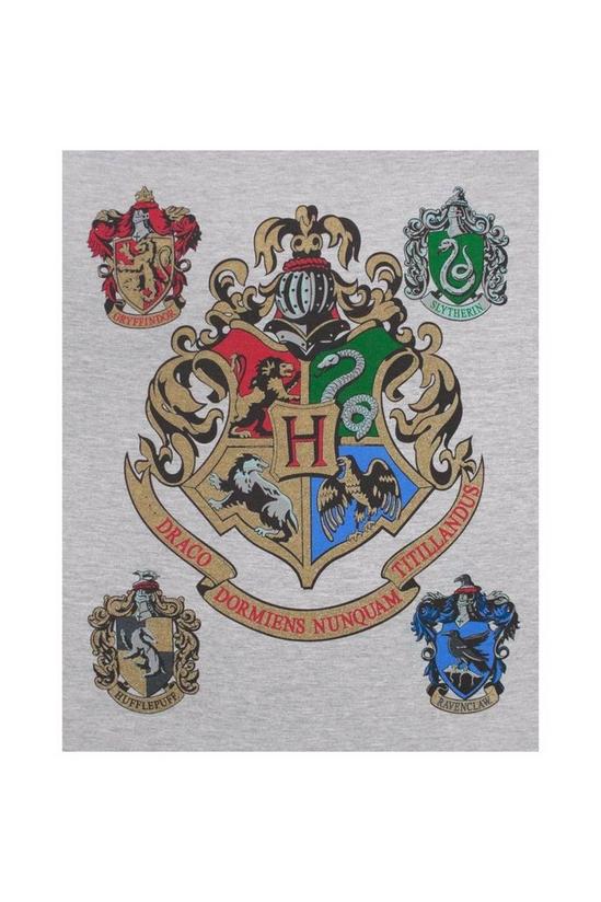 Harry Potter Hogwarts Raglan Top 5