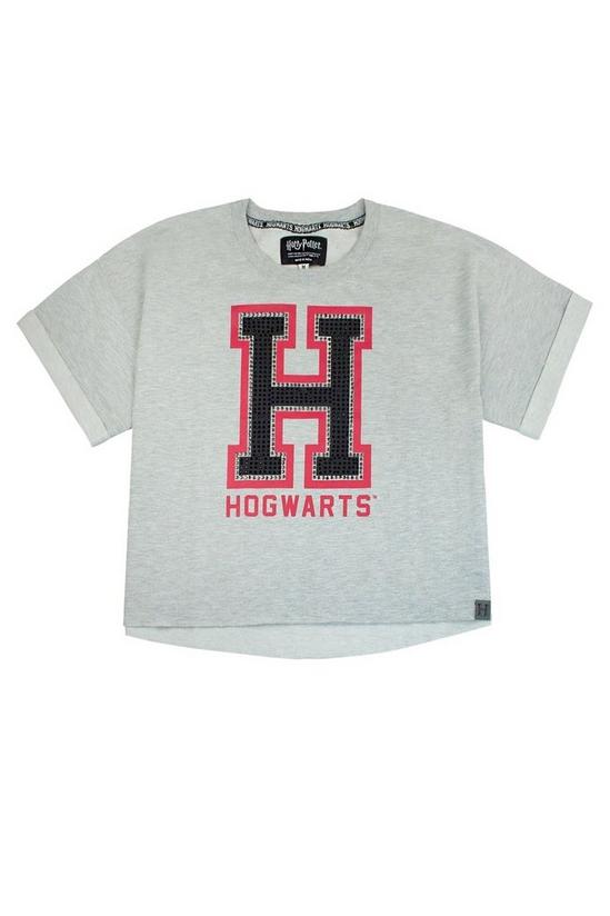 Harry Potter Hogwarts Alumni Cropped T-Shirt 1