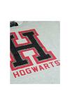 Harry Potter Hogwarts Alumni Cropped T-Shirt thumbnail 3