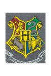 Harry Potter Hogwarts T-Shirt thumbnail 3