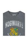 Harry Potter Hogwarts T-Shirt thumbnail 4