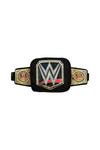 WWE Championship Title Belt Bum Bag thumbnail 4
