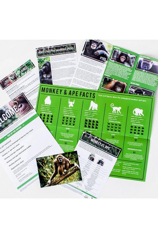 Gift Republic Adopt a Monkey Gift Pack 3