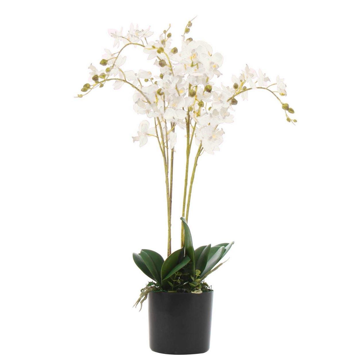 Orchids Floral Arrangement in Pot black,white