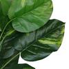 Leaf 60cm Artificial Devil's Ivy (Scindapsus Aureus) Plant thumbnail 4