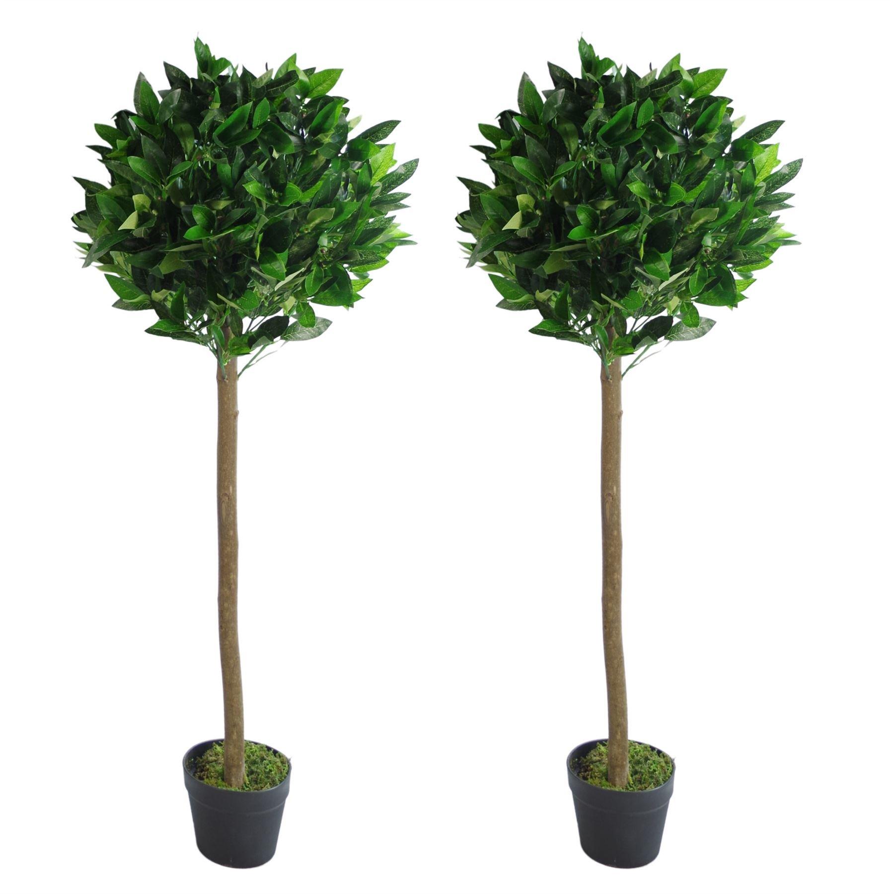 Pair of 120cm (4ft) Plain Stem Artificial Topiary Bay Laurel Ball Trees