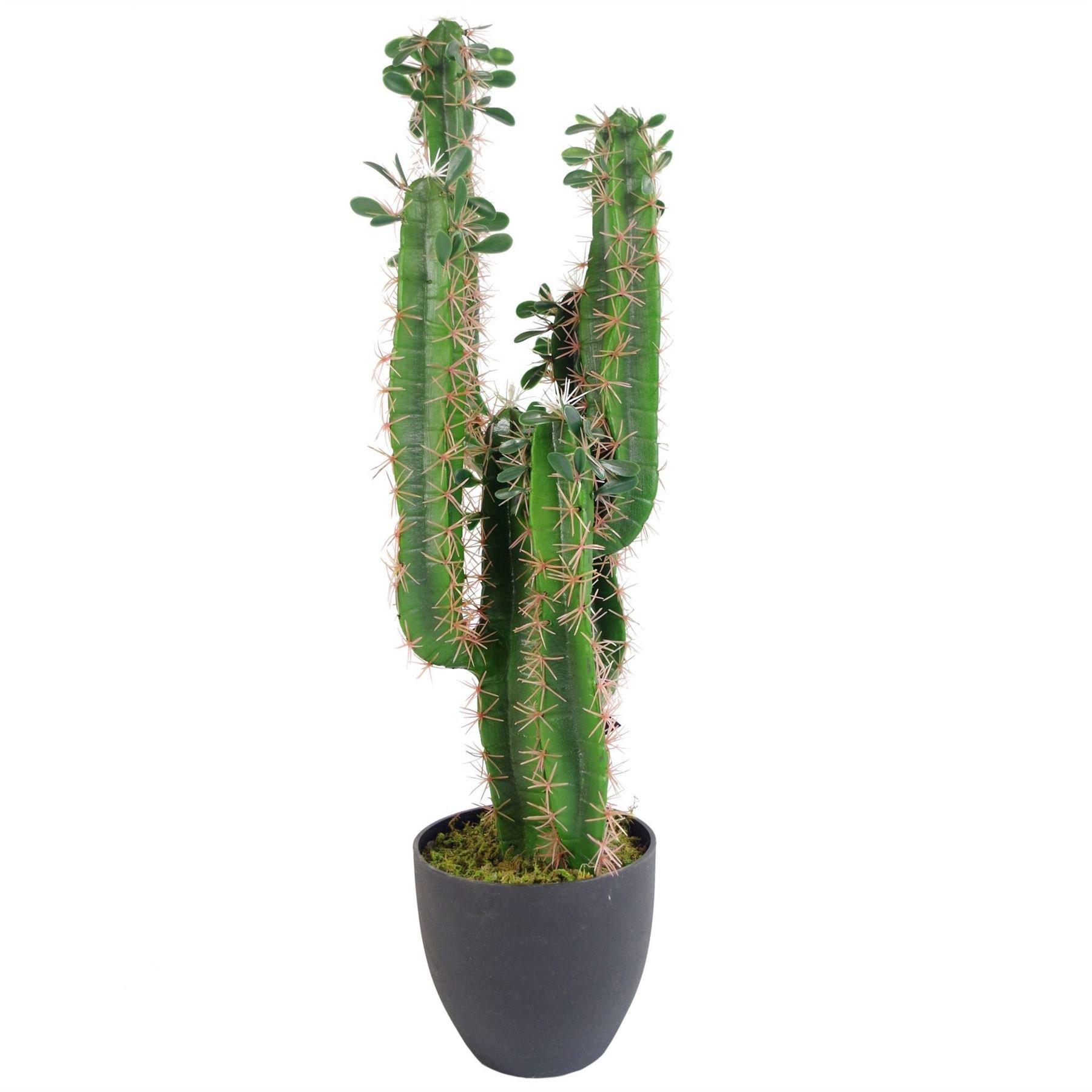 75cm Premium Artificial Cactus with pot