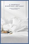 Snuggledown Hotel Goose Feather & Down 10.5 Tog All Year Round Duvet With 2 Pillows thumbnail 2