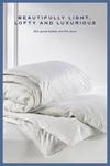 Snuggledown Hotel Goose Feather & Down 10.5 Tog All Year Round Duvet With 2 Pillows thumbnail 4