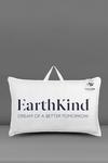 EarthKind 2 Pack Feather & Down Medium Support Pillows thumbnail 1