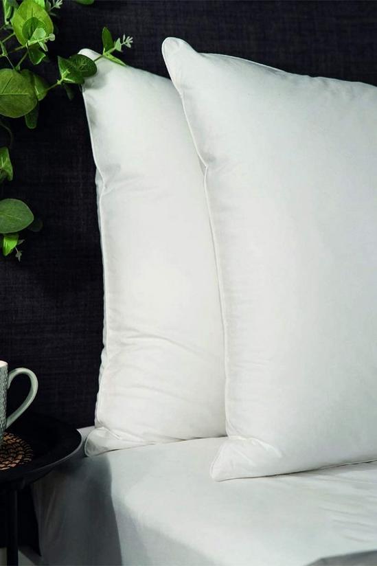 Snuggledown 2 Pack Pure Cotton Hotel Luxury Medium Support Pillows 2