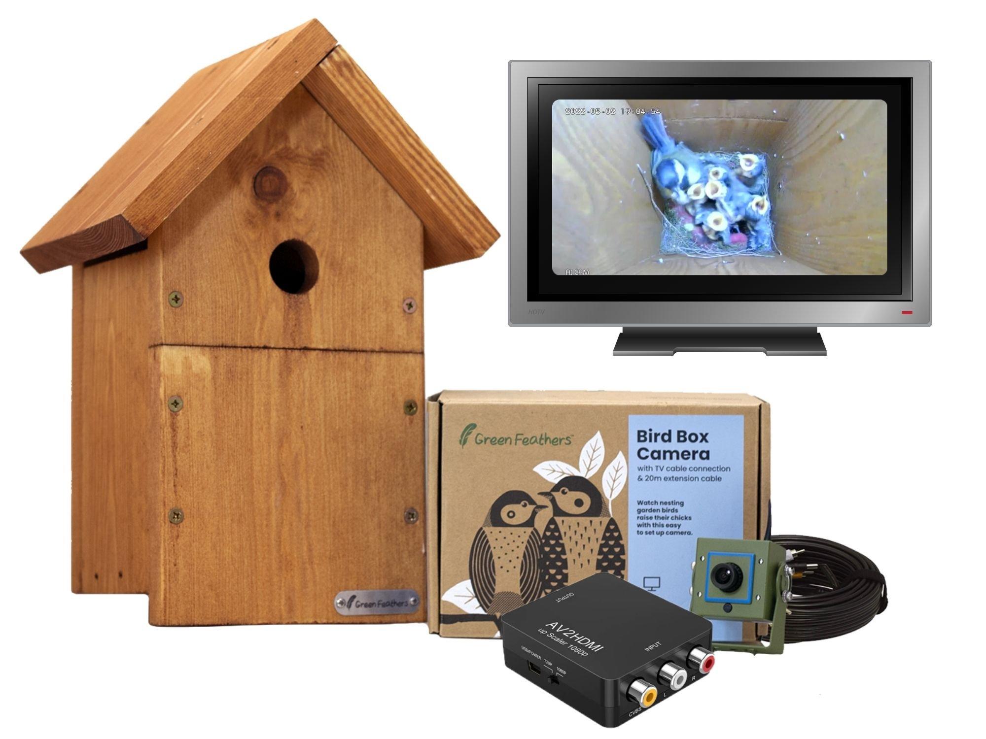Bird Box Camera with TV Connection Starter Pack