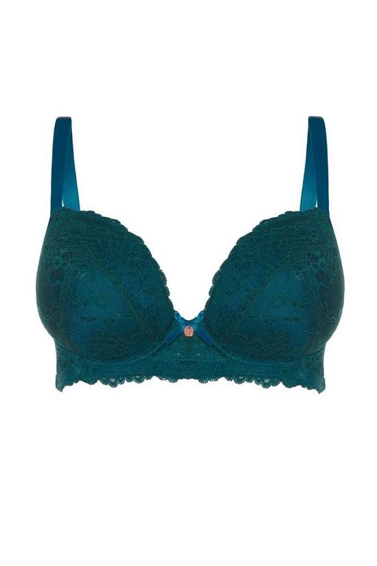 Oola Lingerie Tonal Lace Underwired Padded Plunge Bra 5