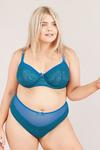 Oola Lingerie Tonal Lace Underwired Non Padded Bra thumbnail 3