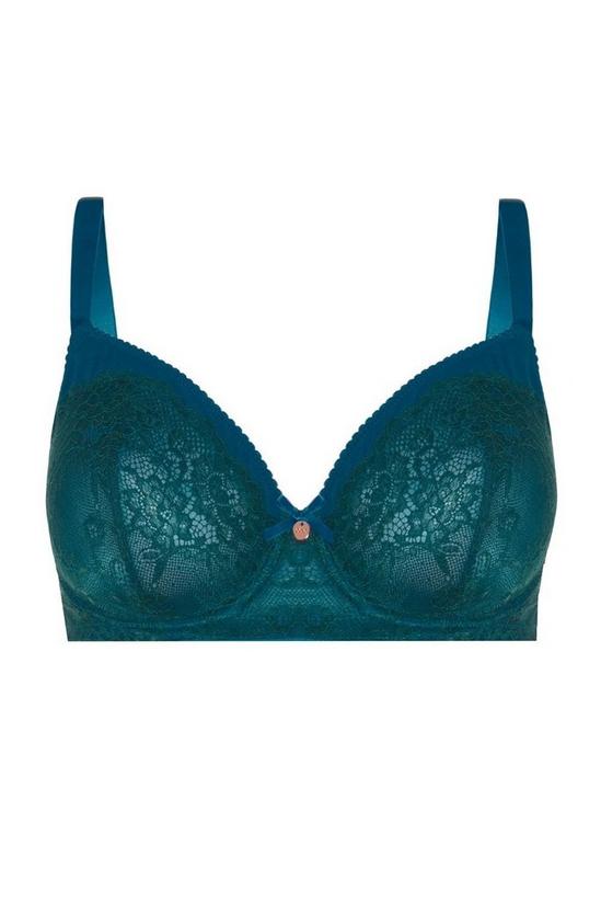 Oola Lingerie Tonal Lace Underwired Non Padded Bra 5