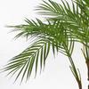 Leaf 90cm Artificial Areca Palm Plant Twisted Detail Trunk with Gold Metal Planter thumbnail 3