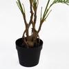 Leaf 90cm Artificial Areca Palm Plant Twisted Detail Trunk with Gold Metal Planter thumbnail 4
