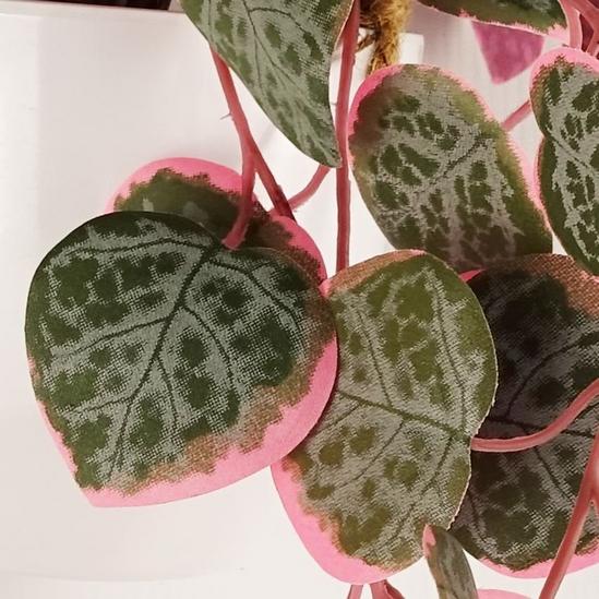 Leaf 90cm Artificial Potted Hanging Trailing Pink Plant - String of Hearts 2