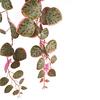 Leaf 90cm Artificial Potted Hanging Trailing Pink Plant - String of Hearts thumbnail 4