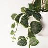 Leaf 90cm Artificial Potted Hanging Trailing Green Plant - String of Hearts thumbnail 2