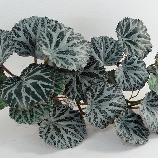 Leaf 50cm Artificial Trailing Begonia Plant 2