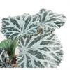 Leaf 50cm Artificial Trailing Begonia Plant thumbnail 4