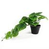 Leaf 35cm Artificial Trailing Green Potted Pothos Plant thumbnail 4