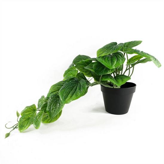 Leaf 35cm Artificial Trailing Green Potted Pothos Plant 4