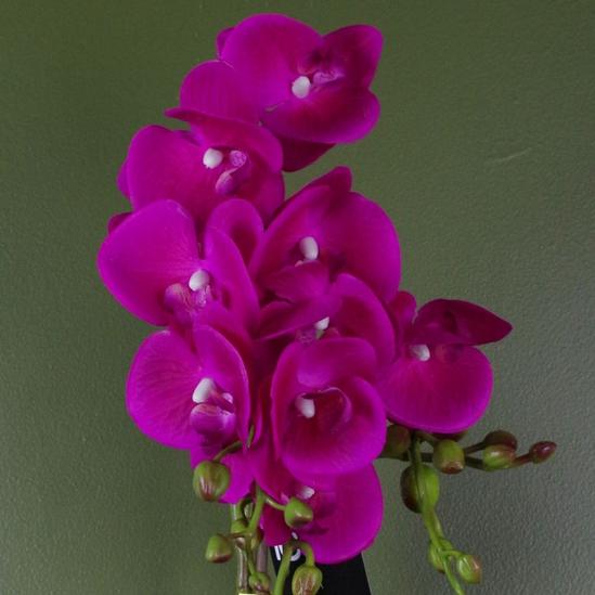 Leaf 54cm Artificial Orchid Plant - Dark Pink Gold Pot 2