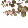 Leaf 90cm Artificial Potted Trailing Hanging Pink Plant Realistic - String of Hearts thumbnail 4