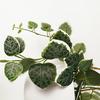 Leaf 90cm Artificial Potted Trailing Hanging Natural Look Plant Realistic - String of Hearts thumbnail 2