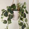 Leaf 90cm Artificial Potted Trailing Hanging Natural Look Plant Realistic - String of Hearts thumbnail 3