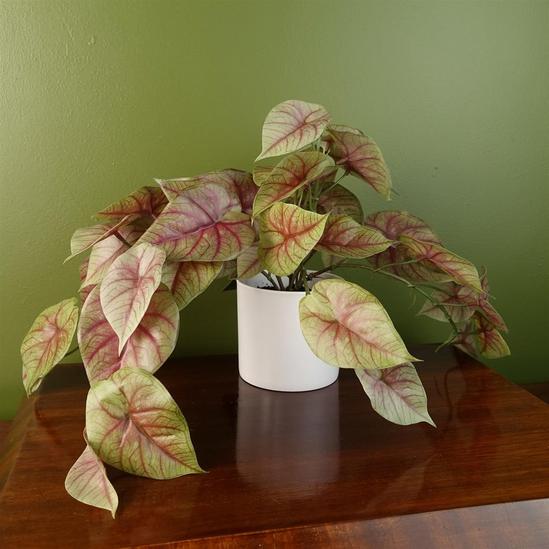 Leaf 30cm Artificial Pink Caladium Potted Trailing Plant Realistic 1