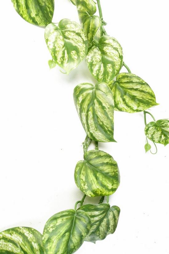 Leaf 180cm Artificial Trailing Hanging Devil's Ivy Plant Realistic 4