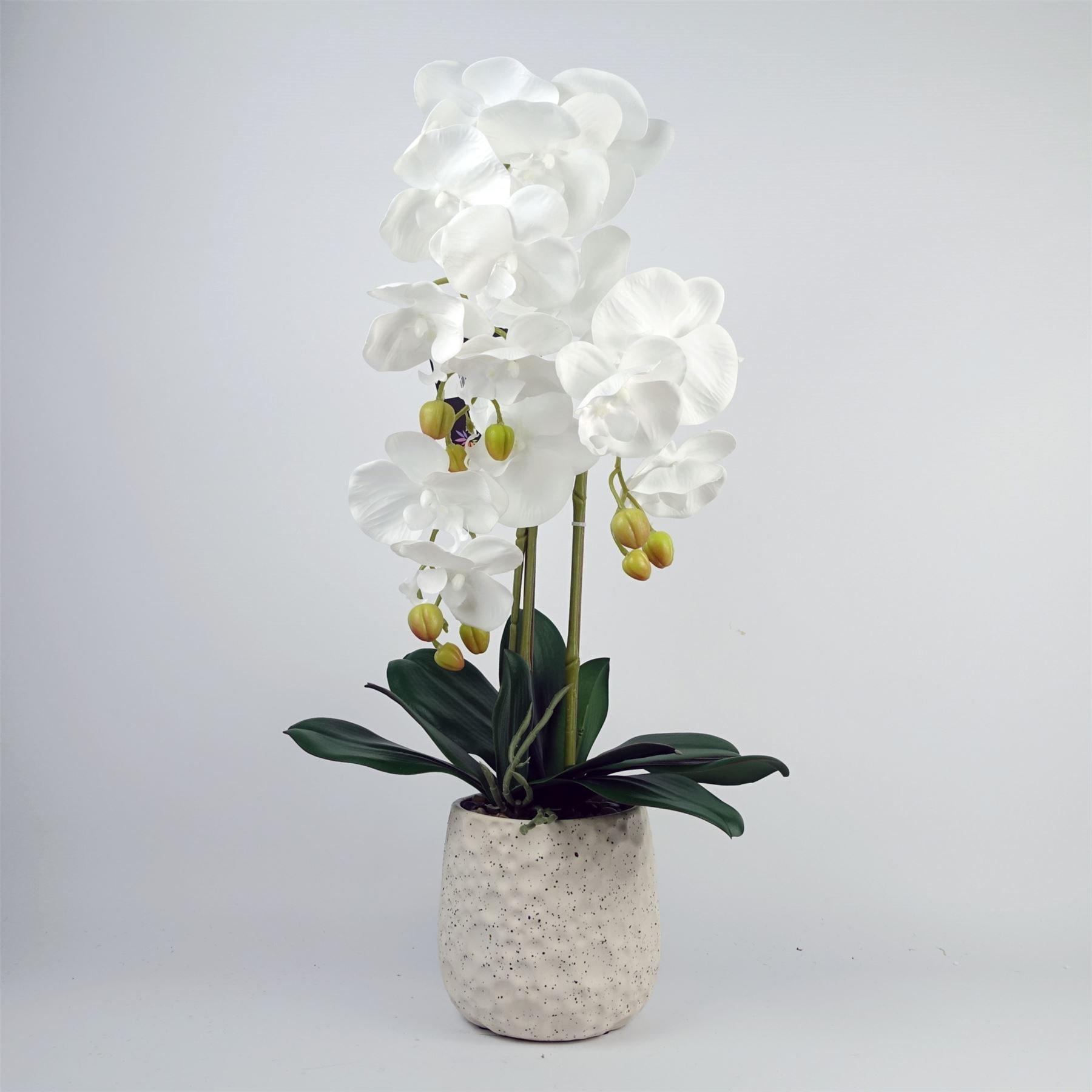 60cm Pure White Orchid with Ceramic Bubble Planter