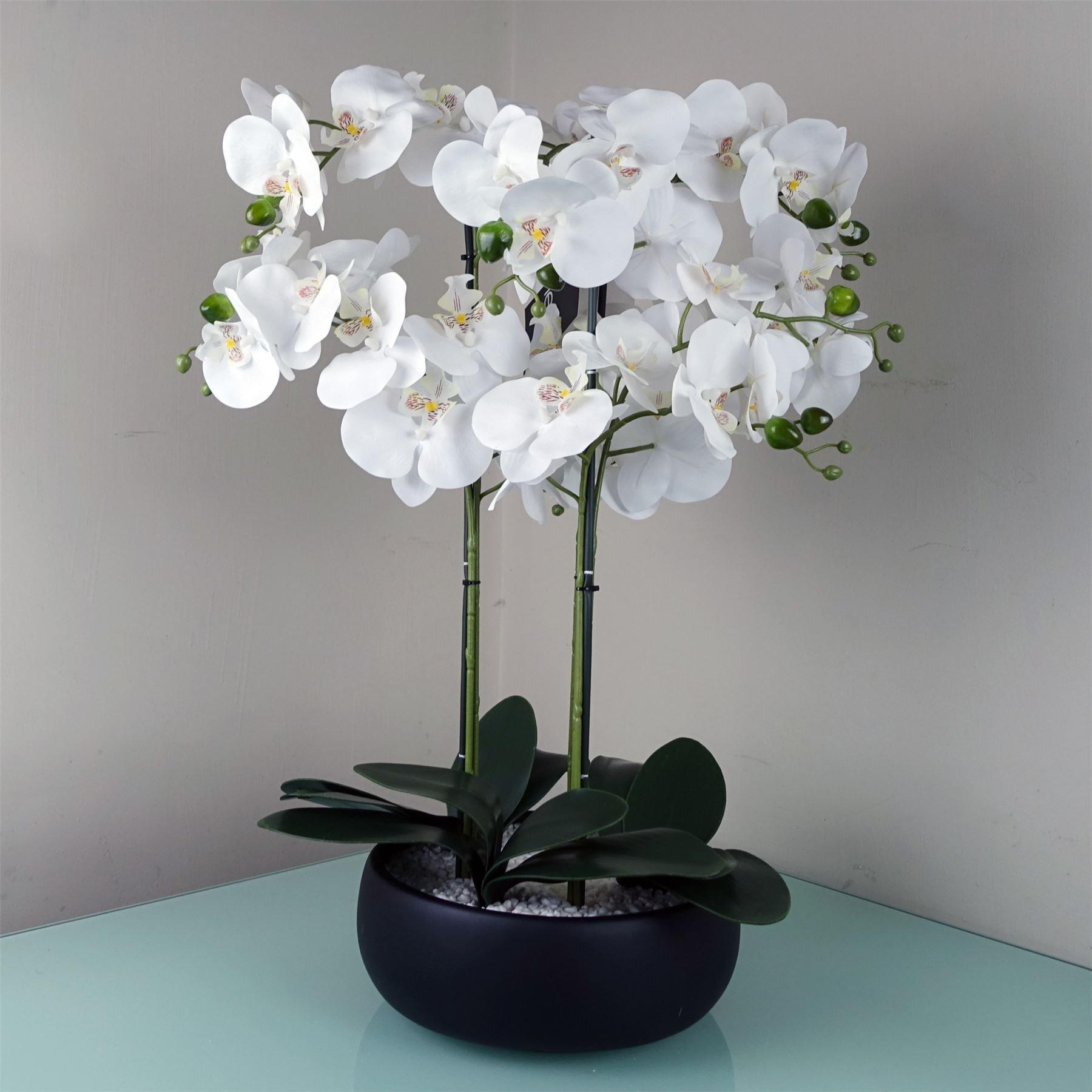 60cm Orchid White - Black Ceramic Planter