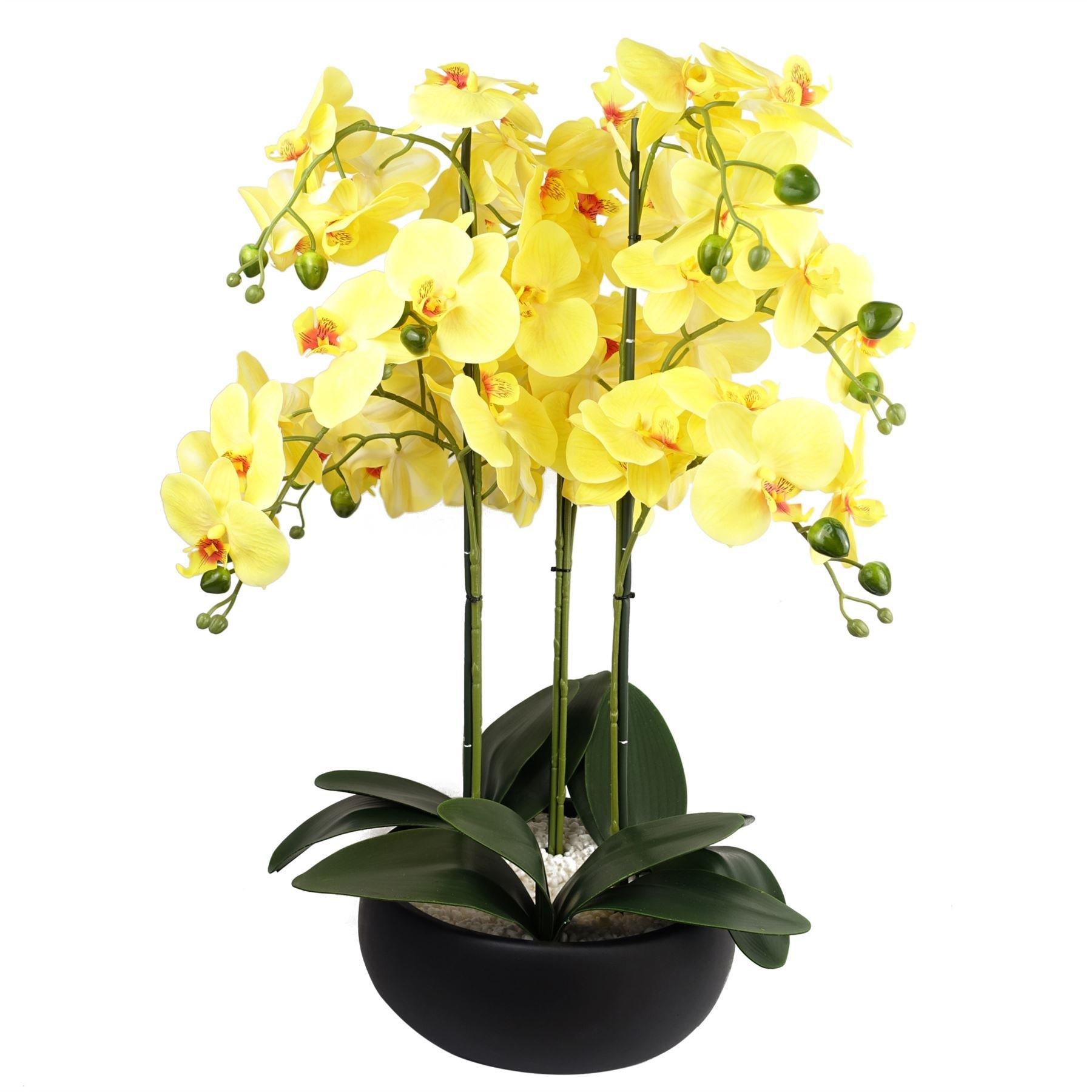 60cm Orchid Yellow - Black Ceramic Planter
