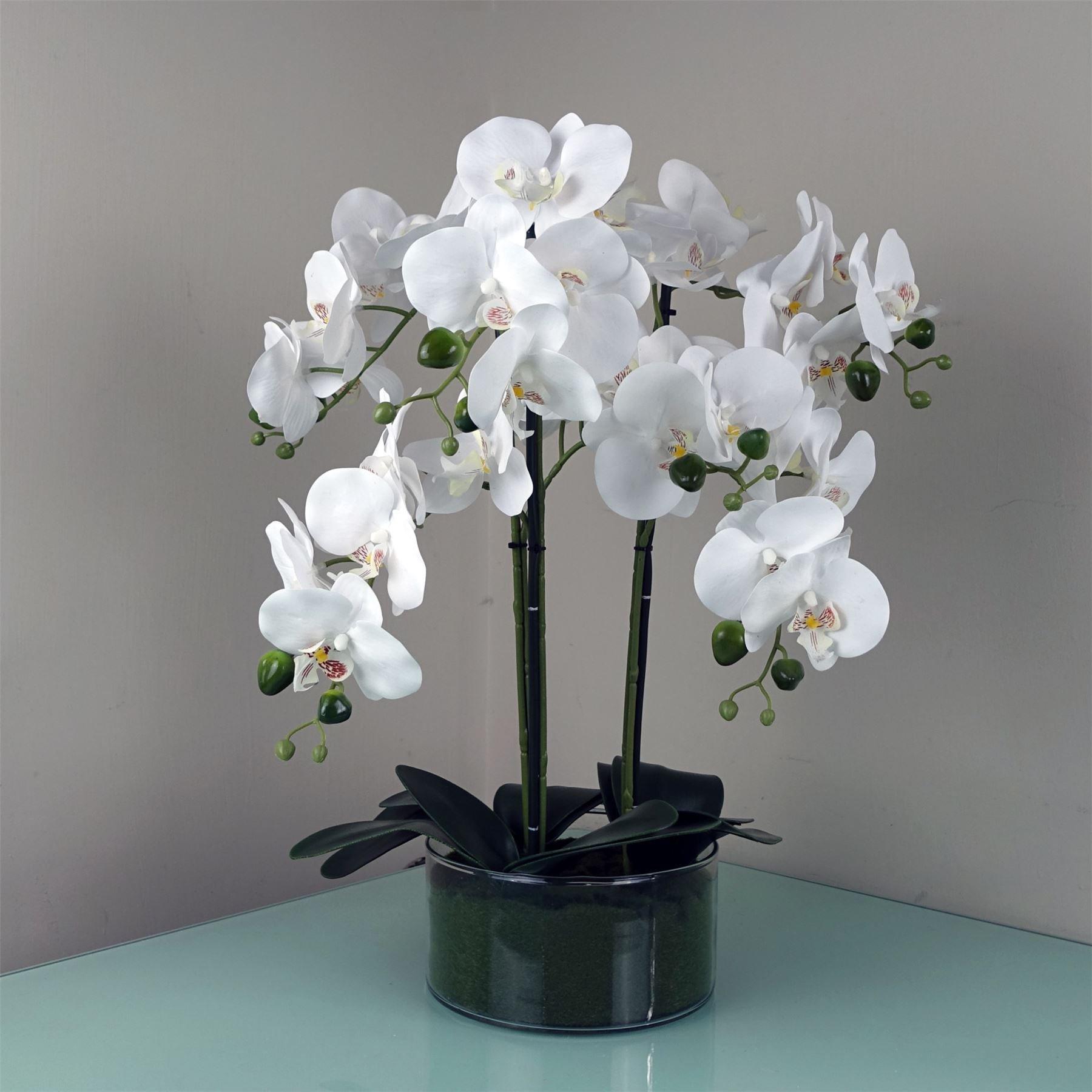 50cm Artificial Orchid with Glass Planter - White