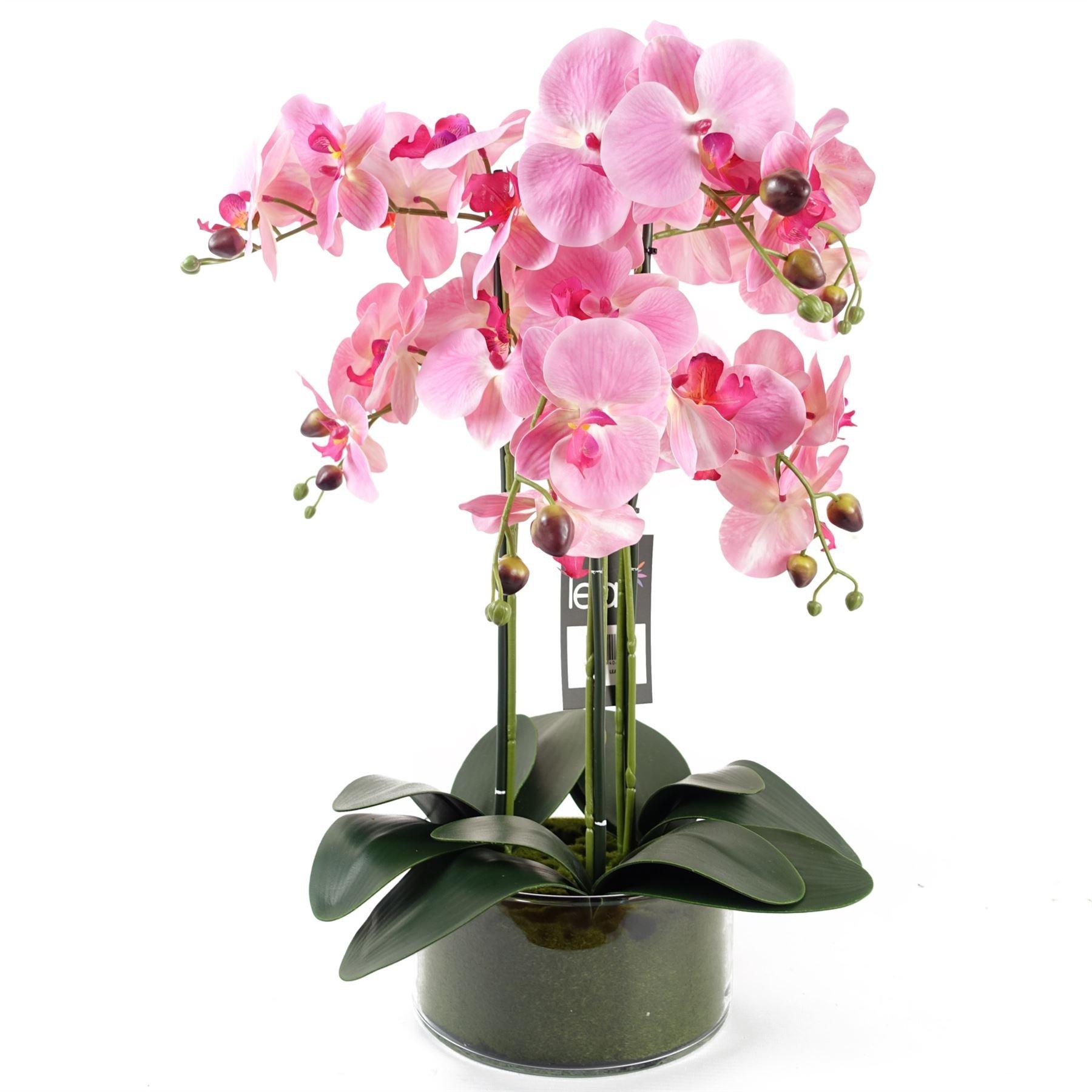 50cm Artificial Orchid with Glass Planter - Pink