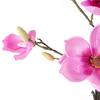 Leaf 110cm Magnolia Artificial Tree Pink Potted thumbnail 4