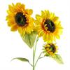 Leaf Pack of 6 x 88cm Yellow Artificial Sunflower - 3 heads thumbnail 5