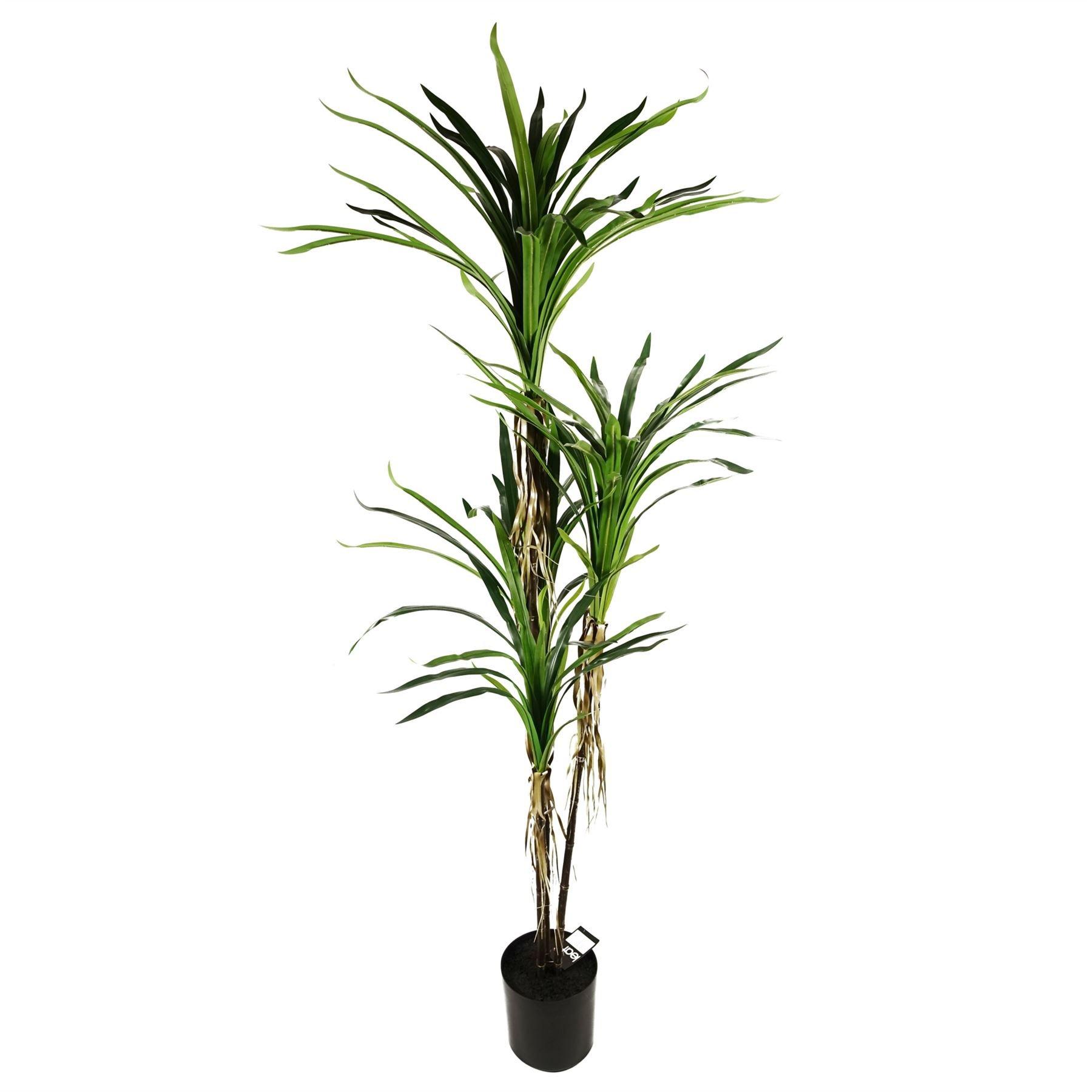 180cm Artificial Dracaena Plant