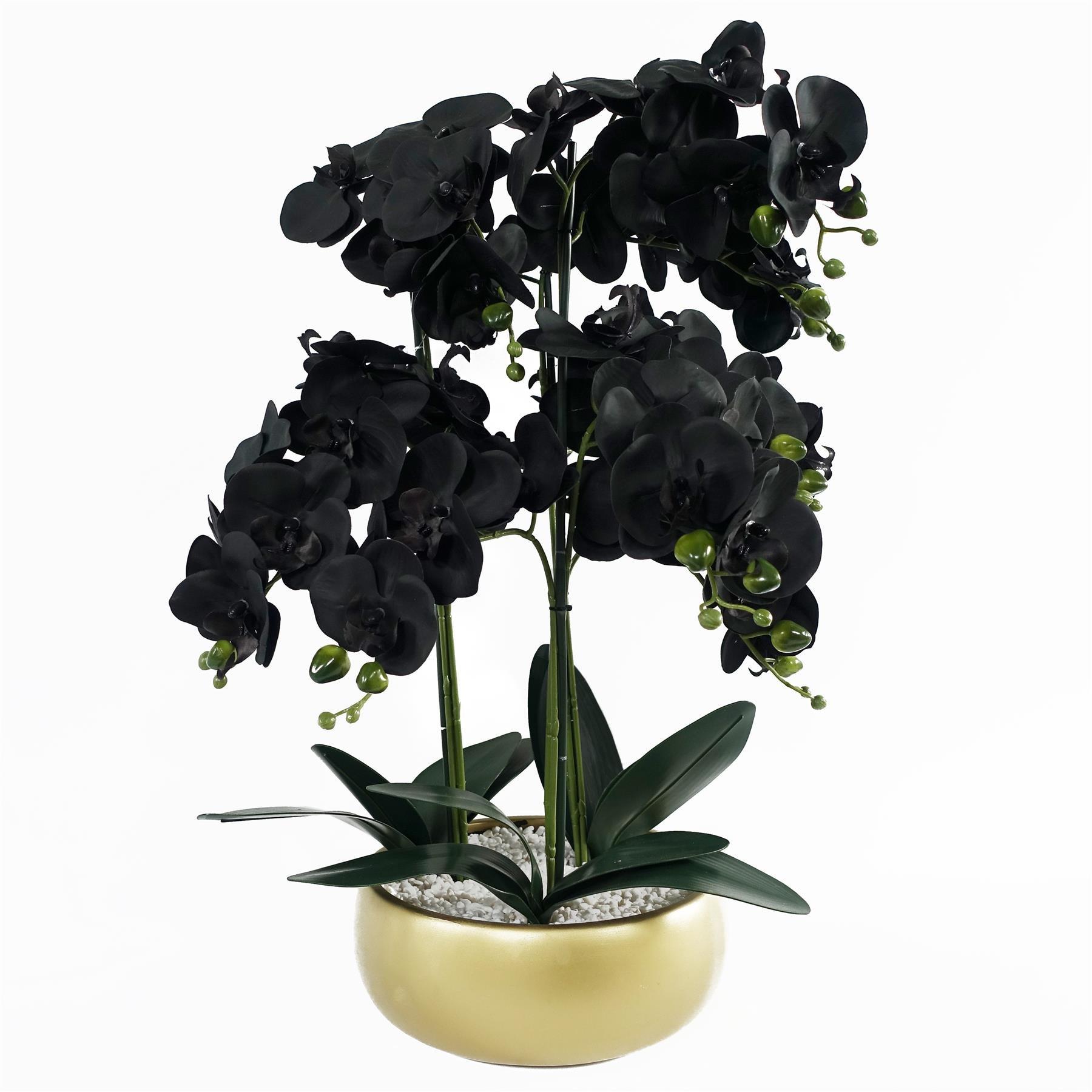 60cm Orchid Black - White Ceramic Planter