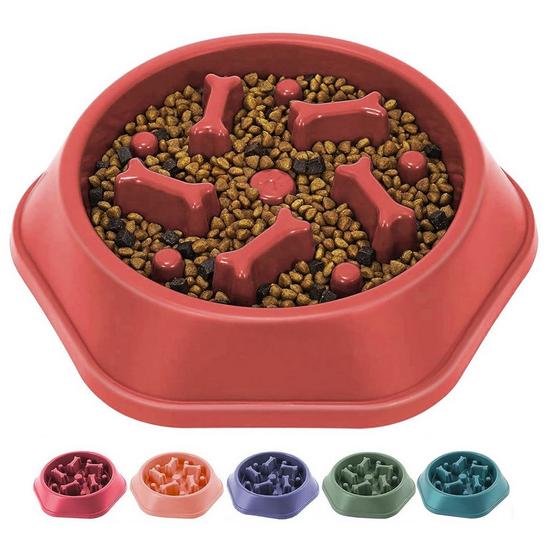 Doki Dog Bowl Cat Pet Slow Feeder Bowl, Puzzle Feeder 1