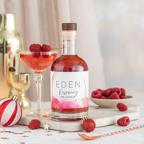 EDEN Treats Raspberry Gin Liqueur (350ml) with EDEN Limited Edition Gift Tube 1