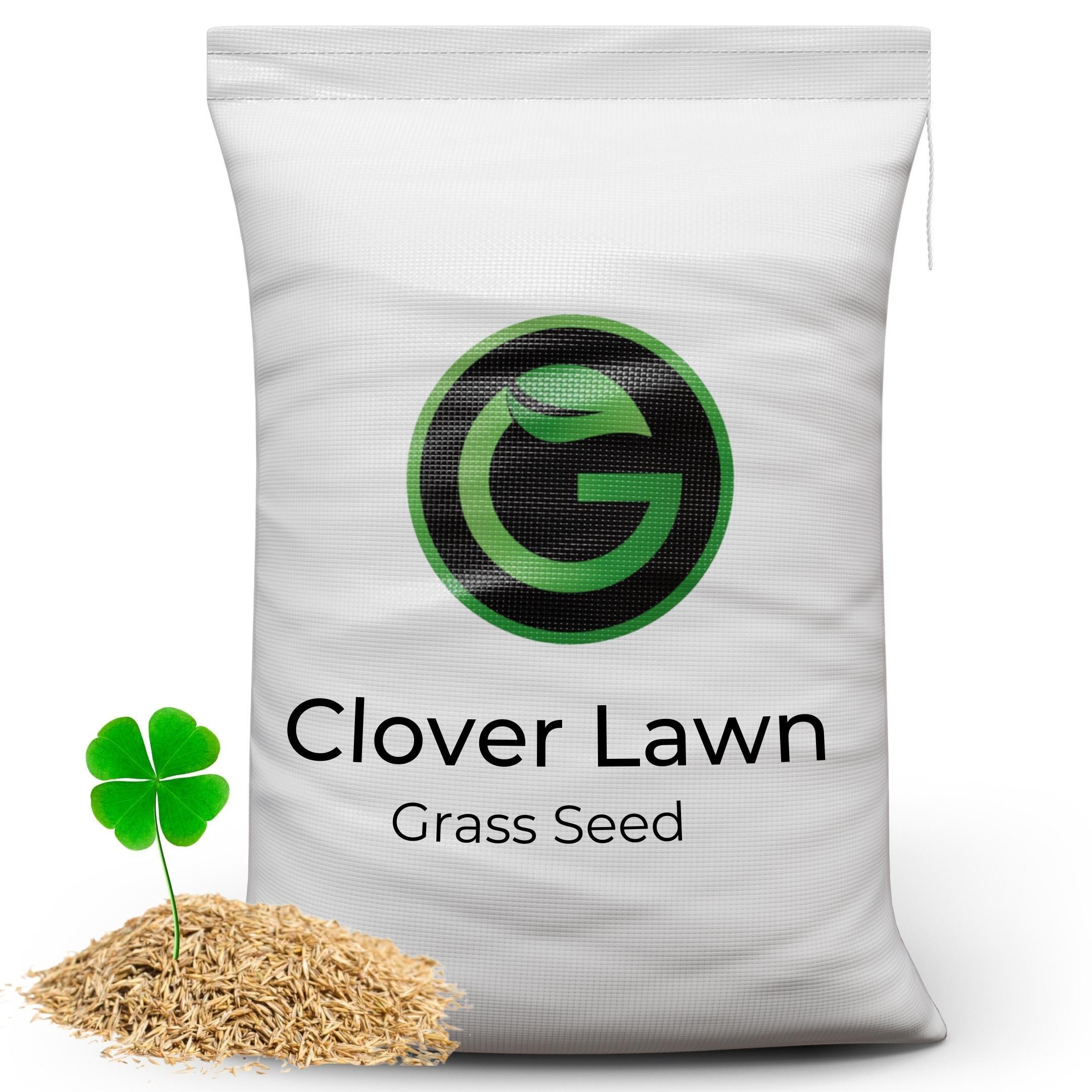 Clover Lawn Seed Grass Seed with White Clover